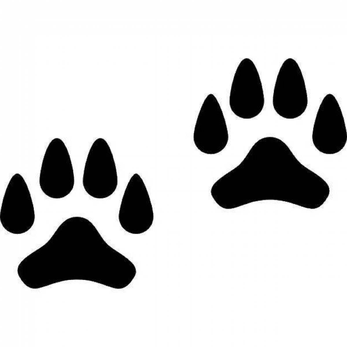 Coloring page of animal footprints