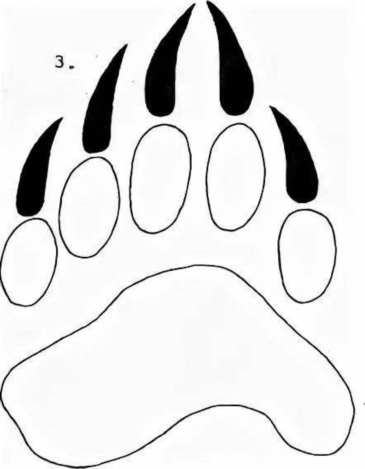 Coloring book footprints of wild animals
