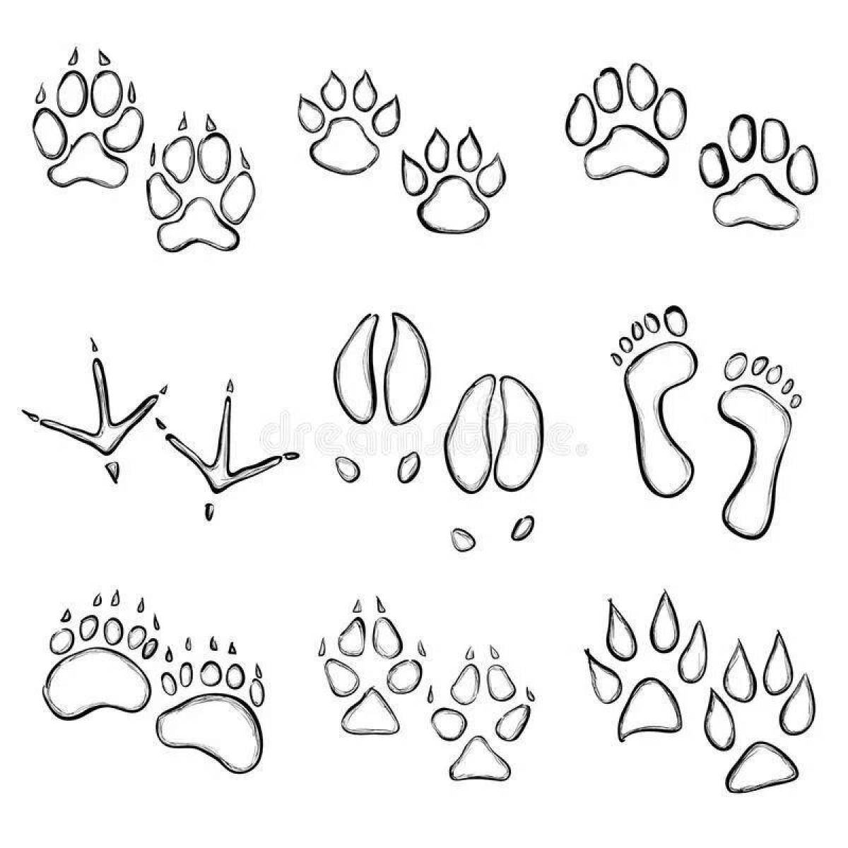 Color-fantastic animal footprints coloring page