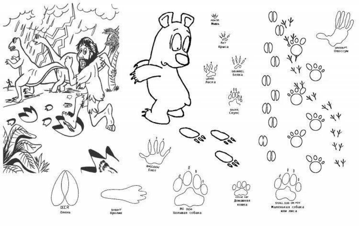 Coloring page animal footprints