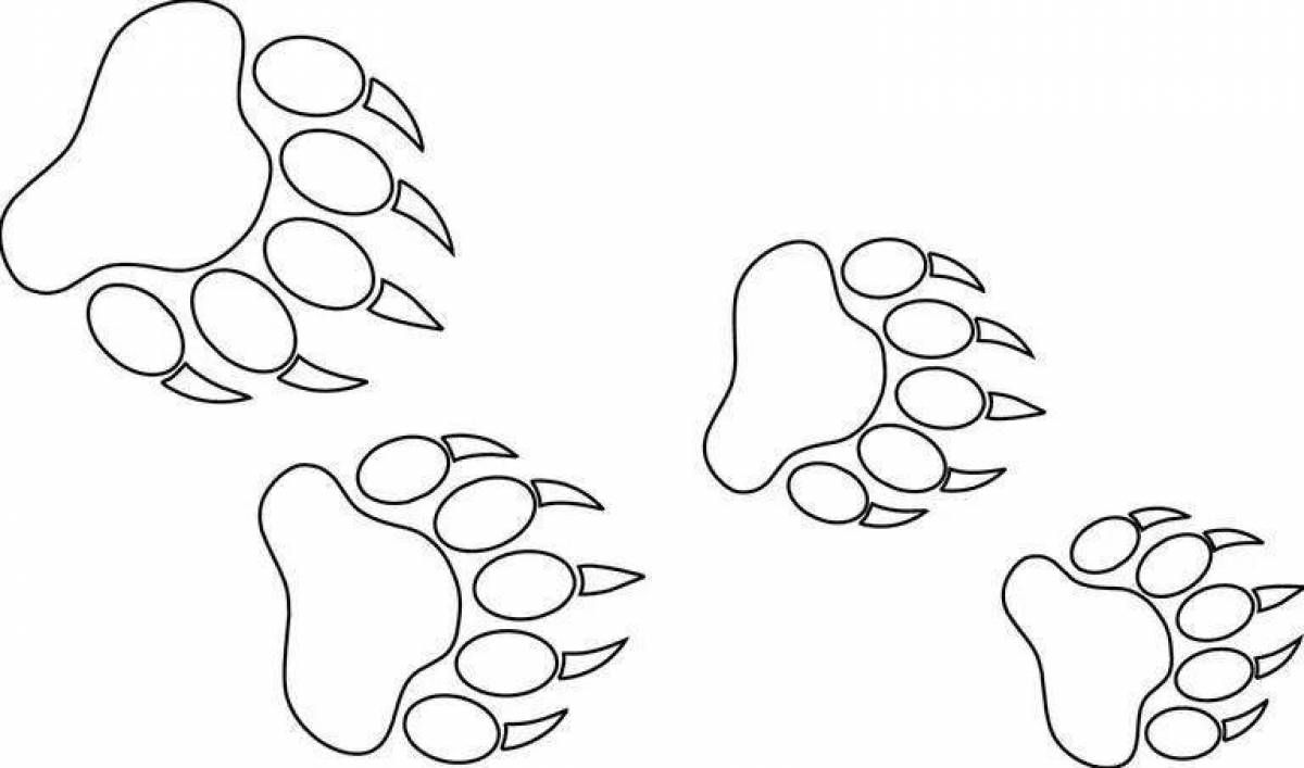 Coloring animal footprints with rich colors