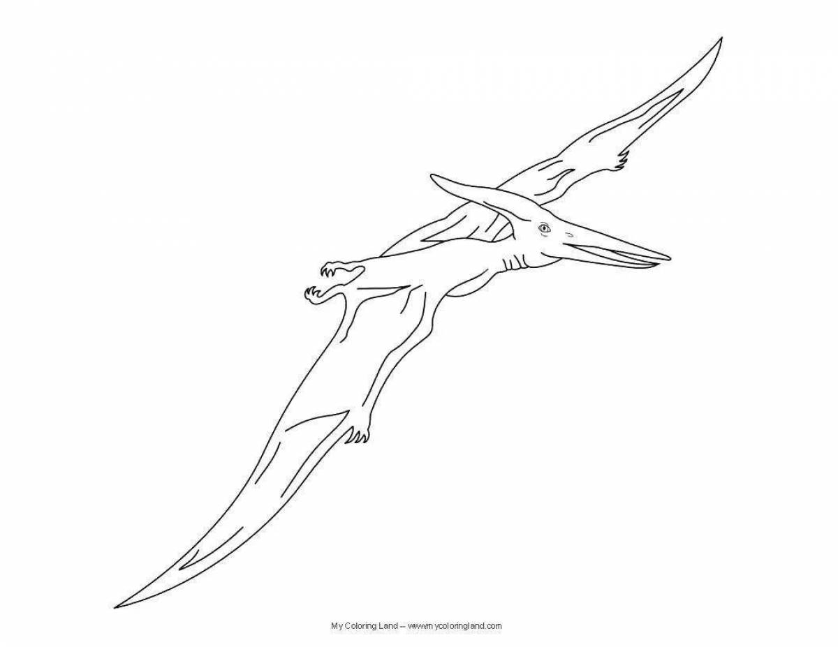 Colorful flying dinosaur coloring book