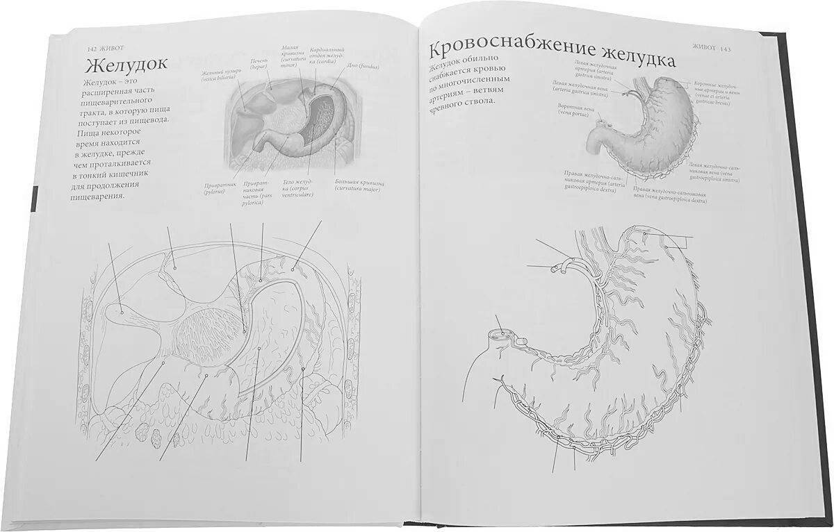 Awesome anatomy coloring book