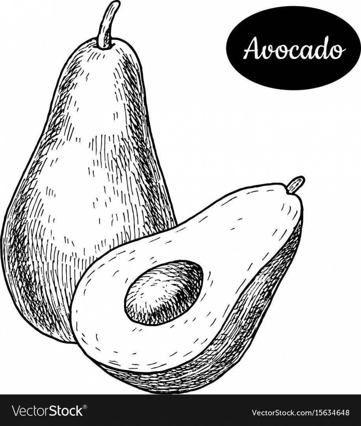 Playful avocado drawing
