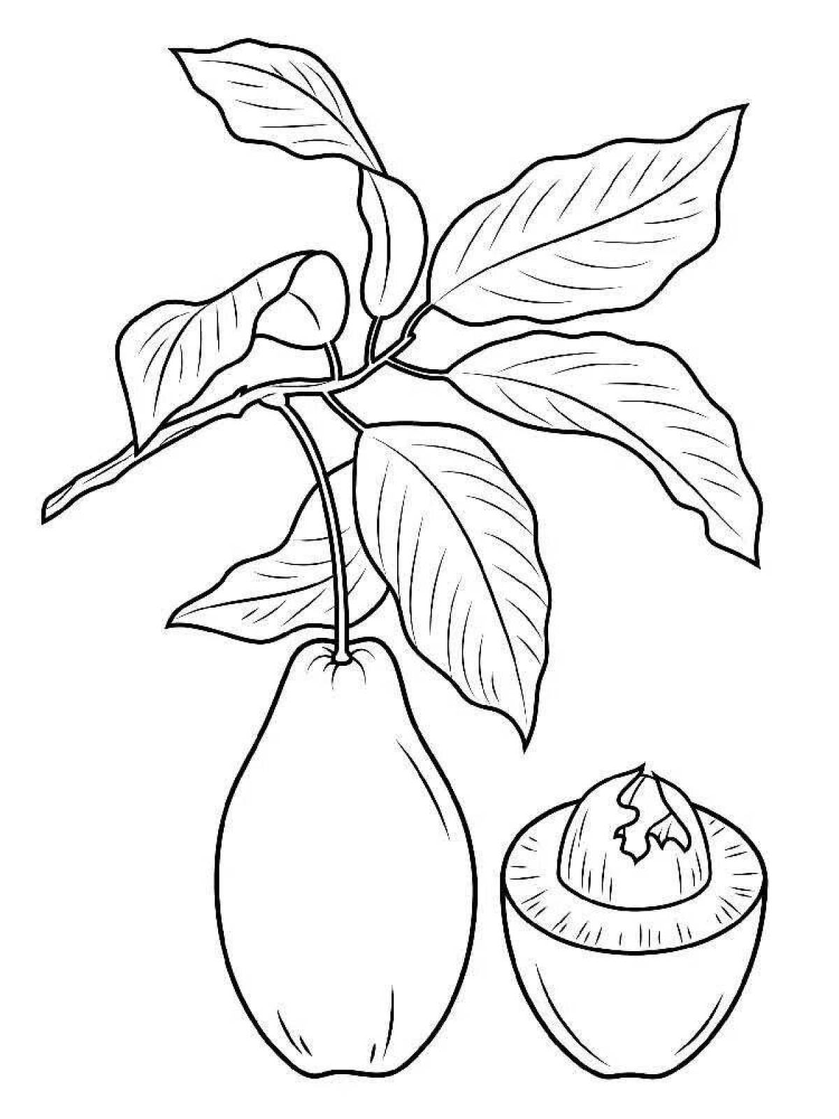 Fun drawing of avocado