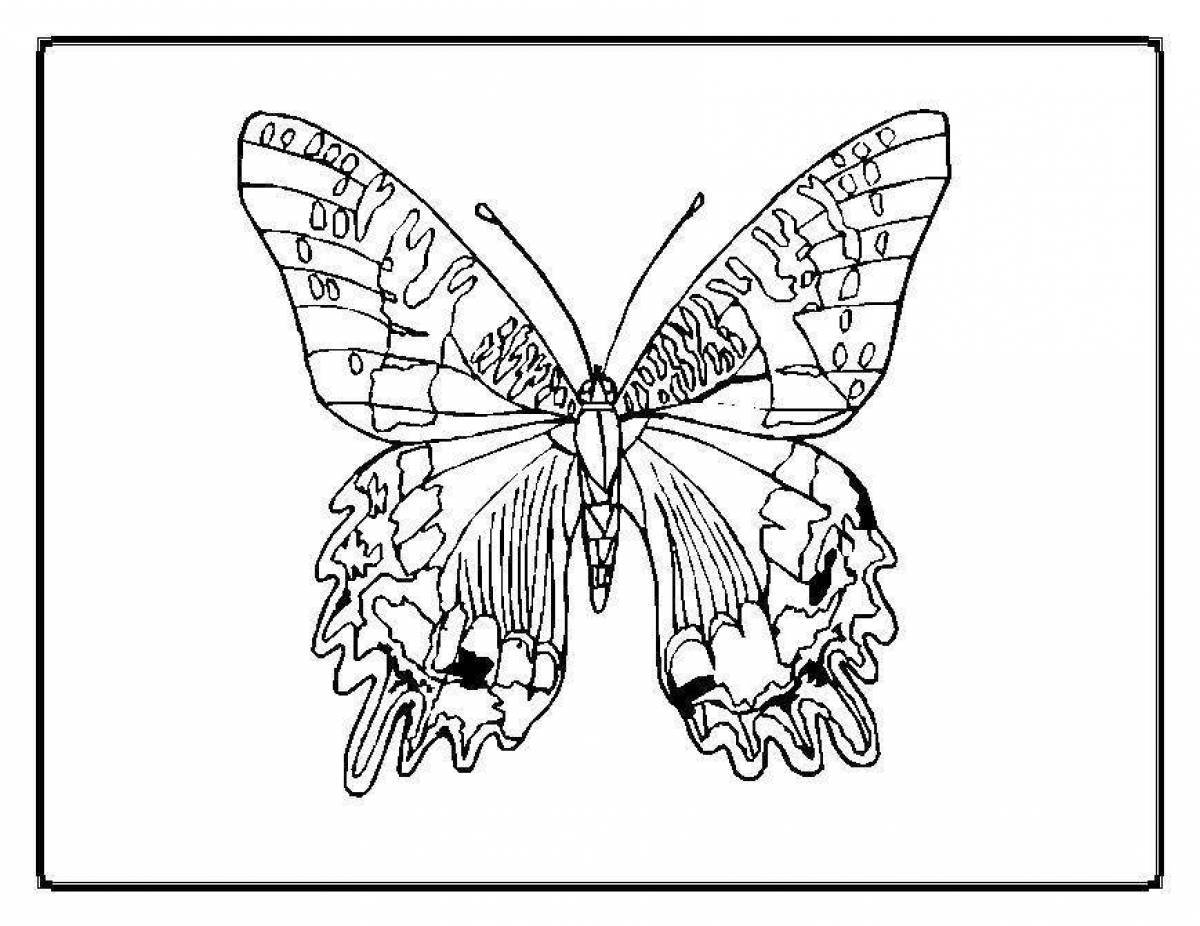 Радужная бабочка раскраска