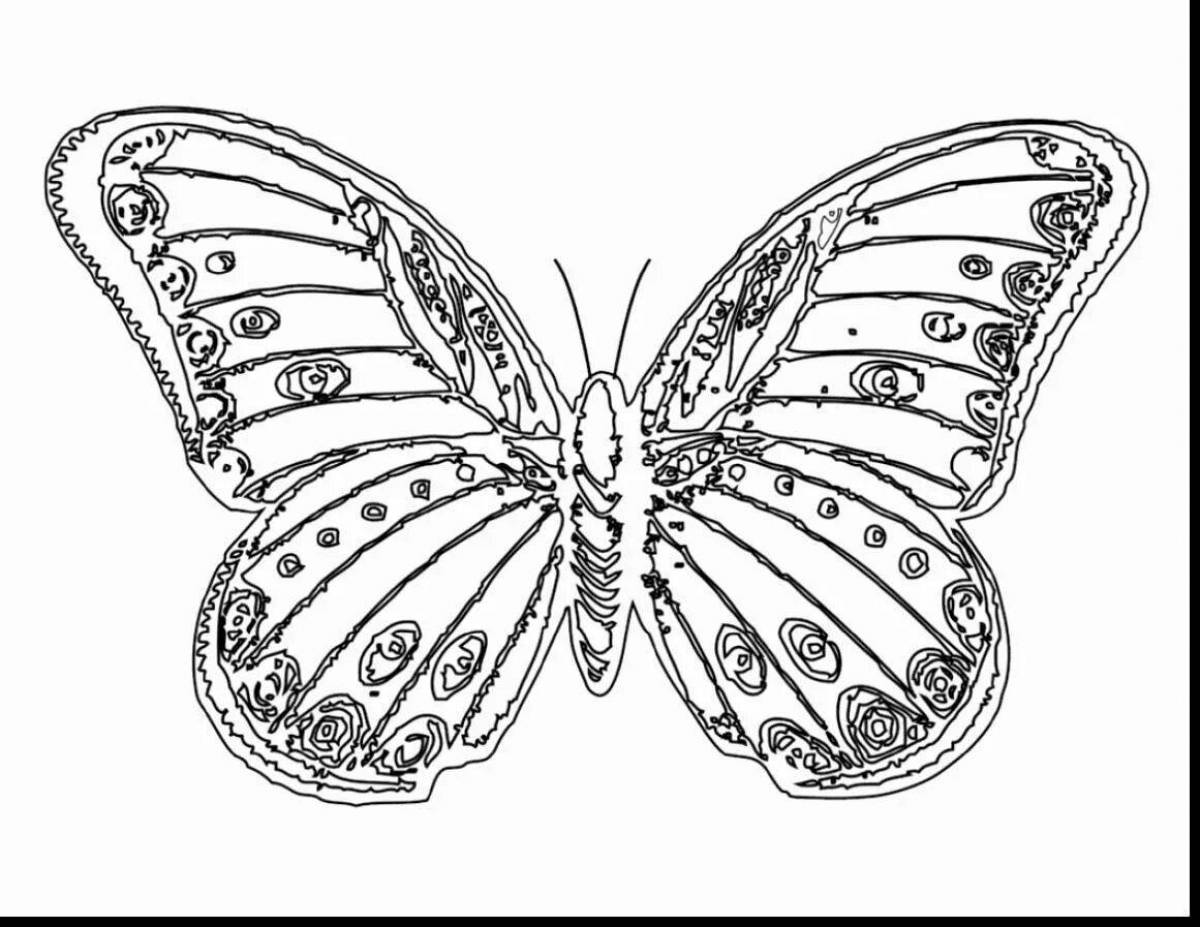 Coloring book graceful butterfly