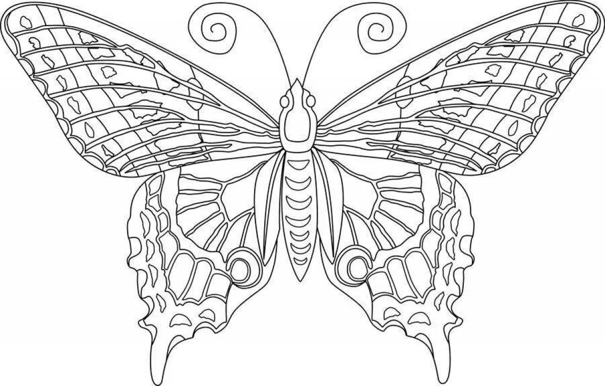 Coloring harmonious butterfly