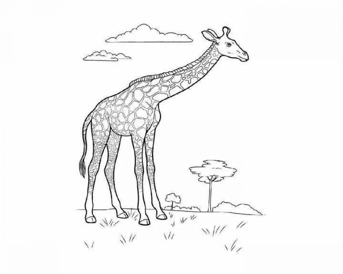 Living animals of the savanna coloring book