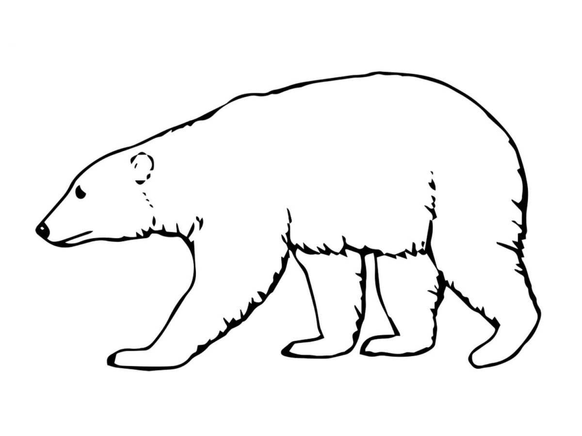 Раскраска блестящий белый медведь