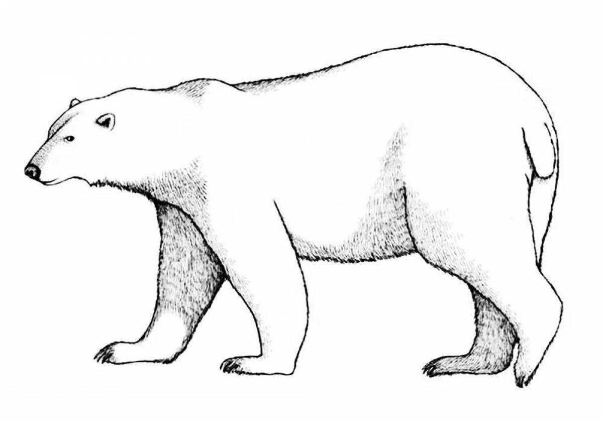 Раскраска занятый белый медведь
