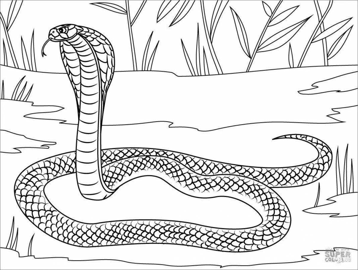 Coloring king cobra