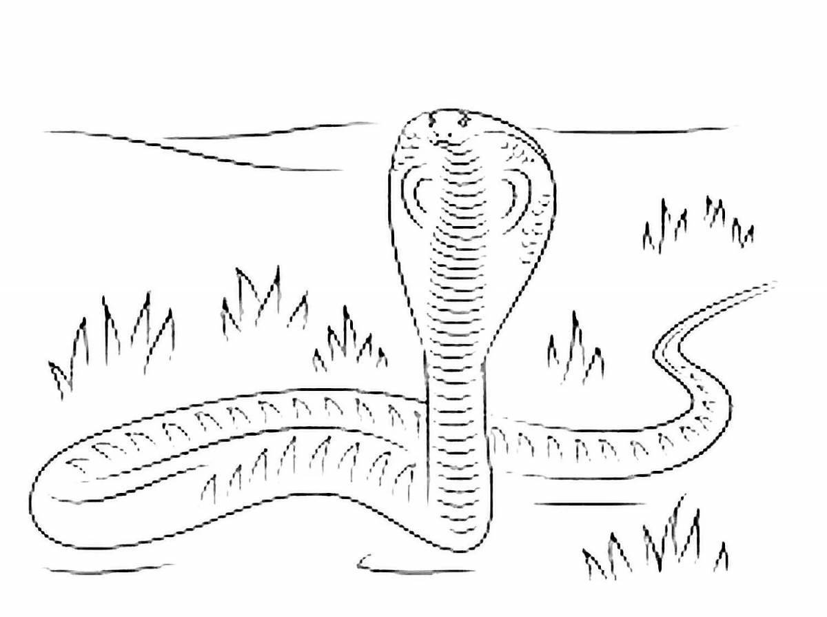 Violent coloring king cobra