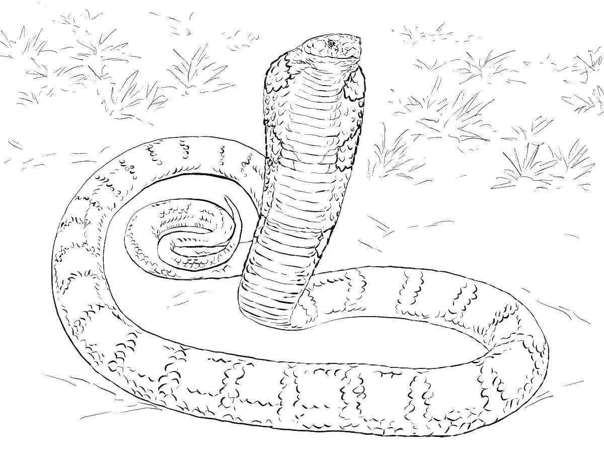 Luminous king cobra coloring page
