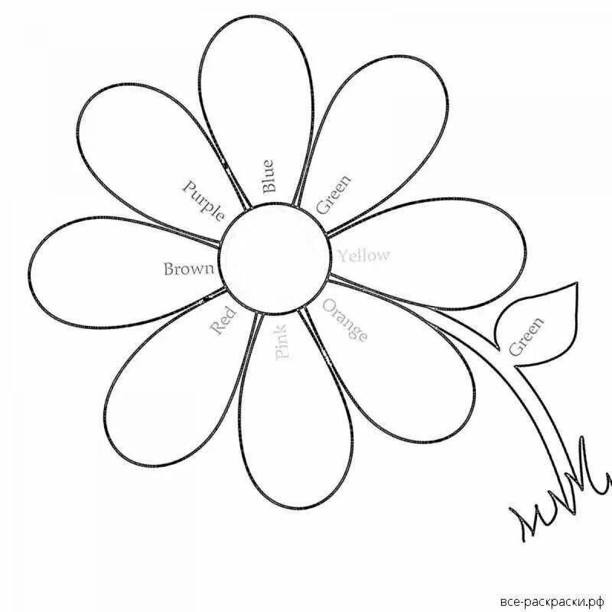 Coloring colorful chamomile pattern