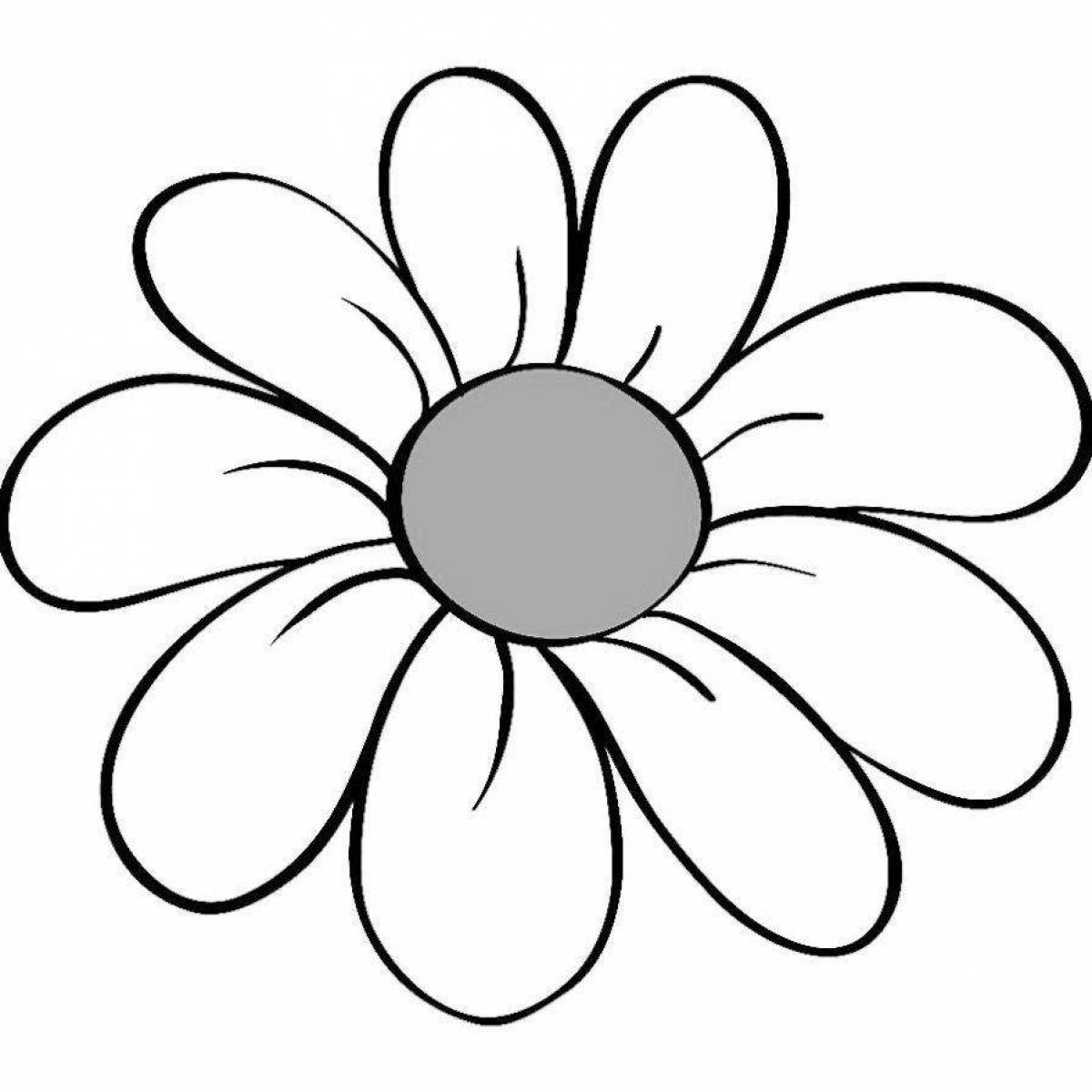 Adorable chamomile coloring page
