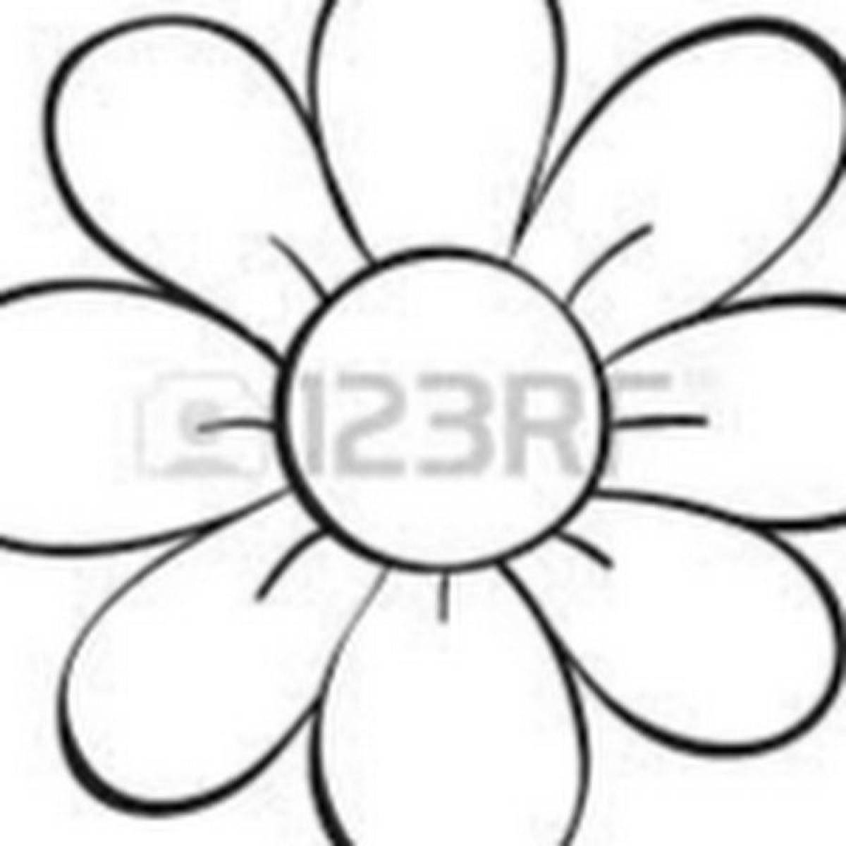 Coloring page gorgeous chamomile pattern