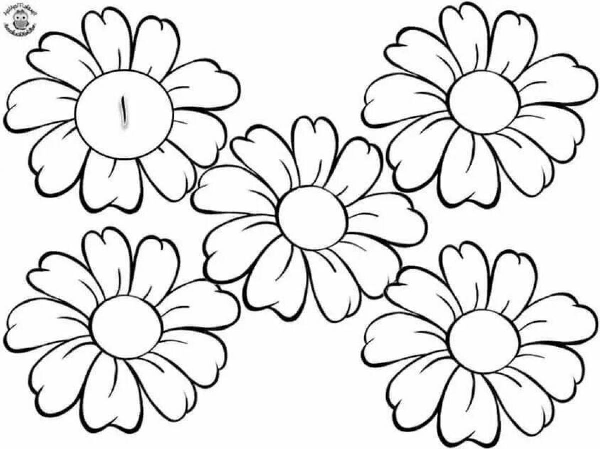Coloring page charming chamomile pattern