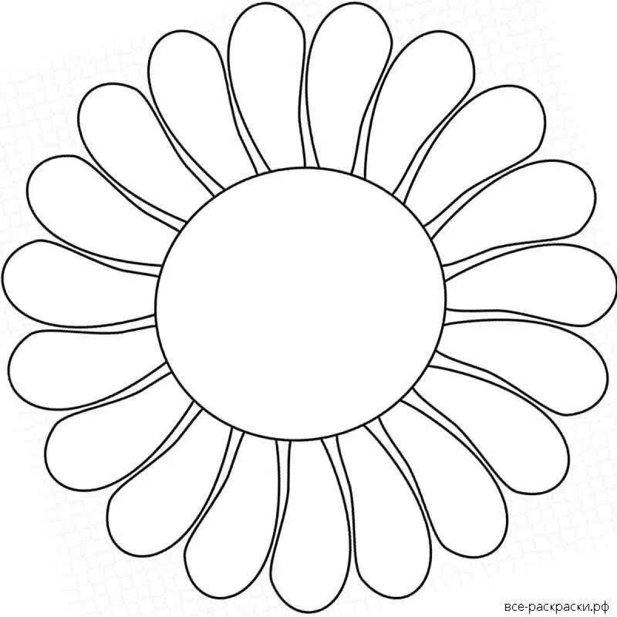 Fancy Chamomile coloring page