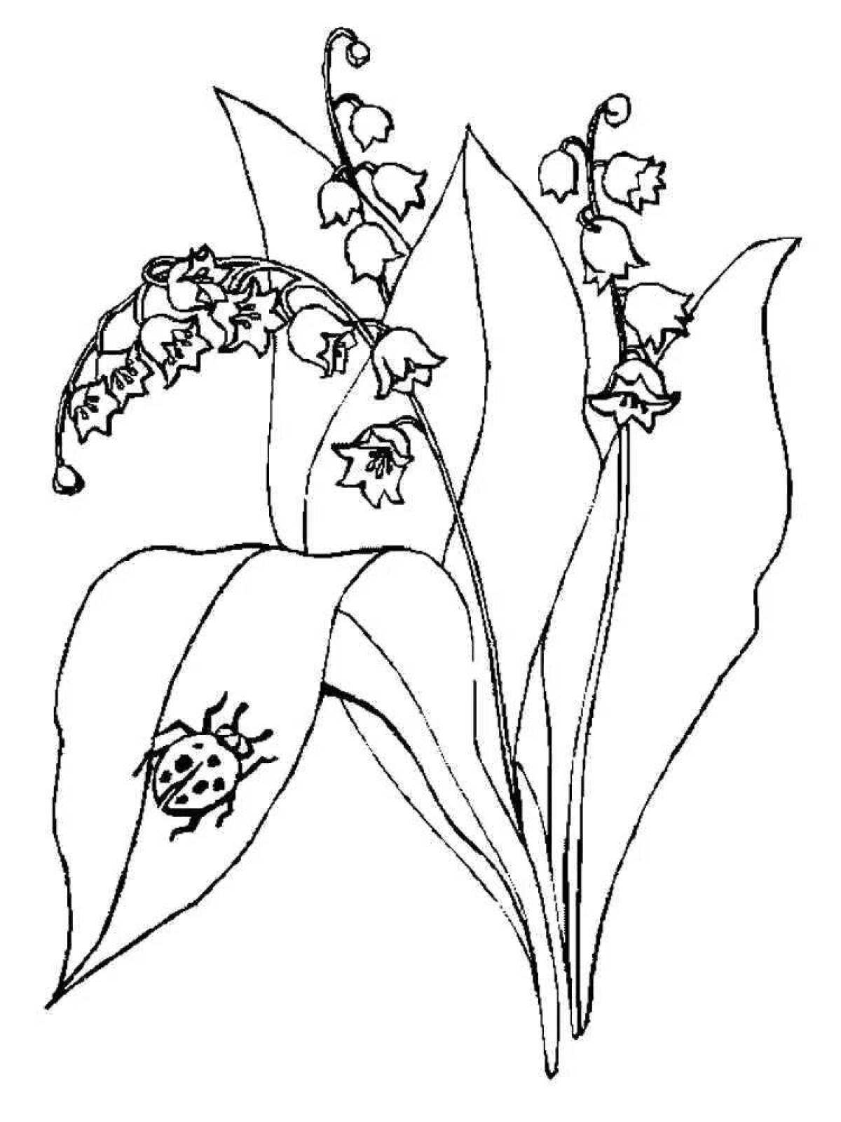 Цветок Ландыш раскраска для детей