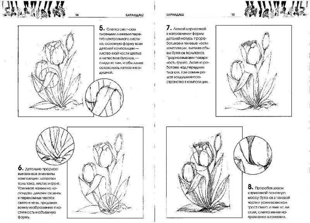 Картинки из красной книги животные и растения распечатать