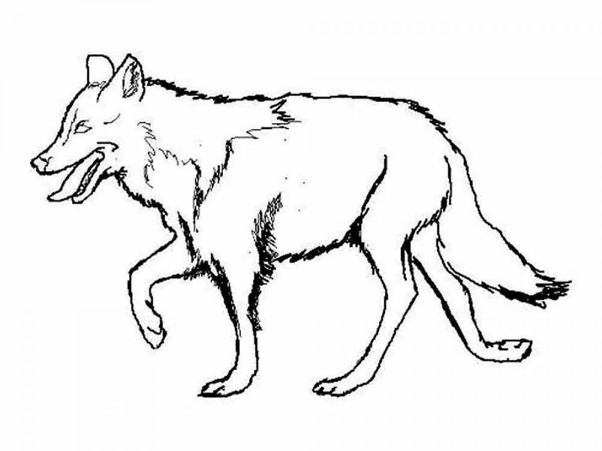 картинки животных заяц волк лиса медведь