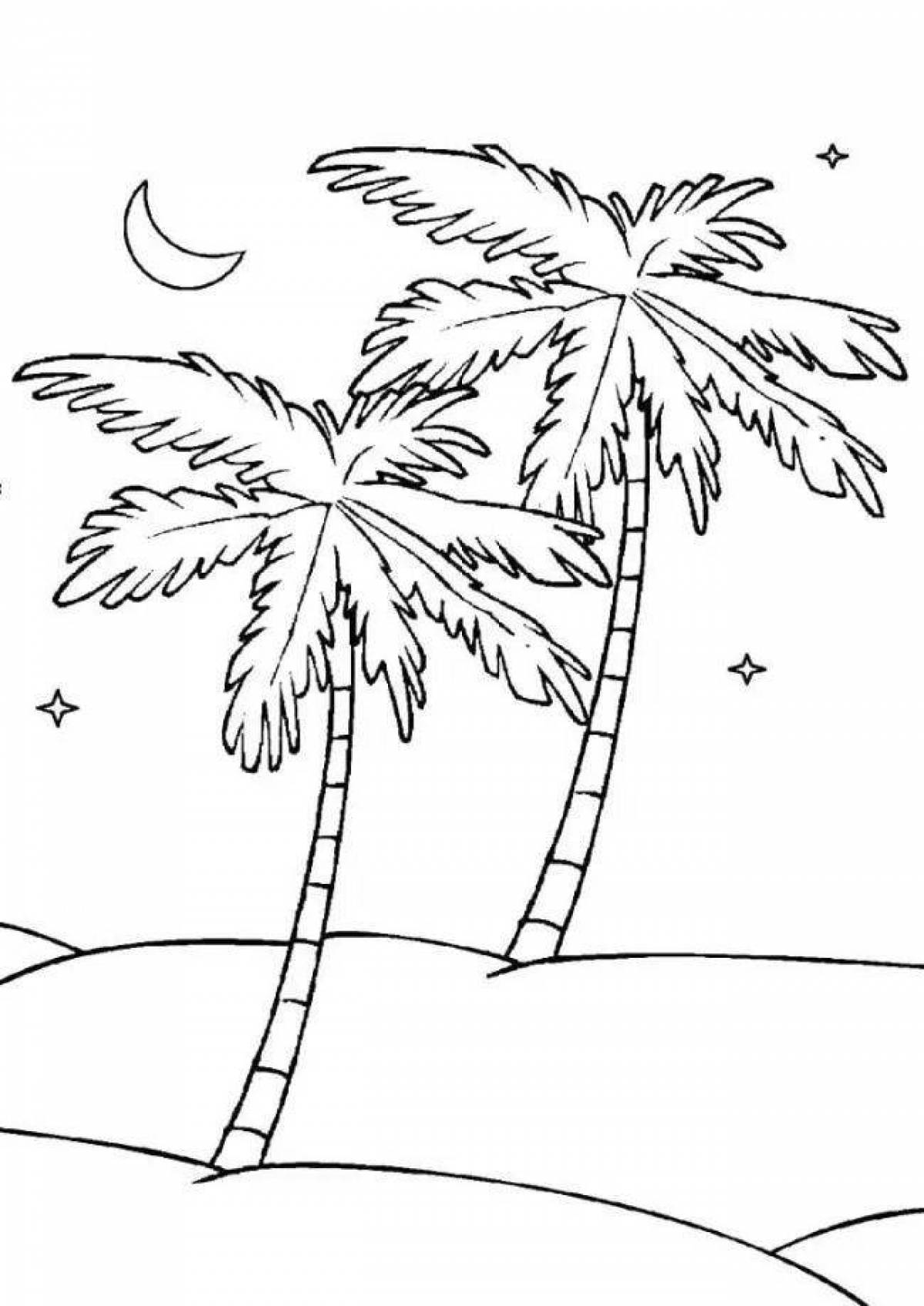 Раскраска Пальма с кокосами