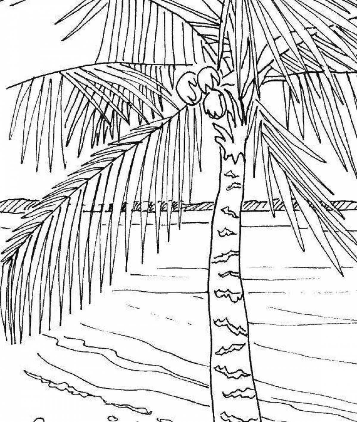 Раскраска пейзаж пальмы