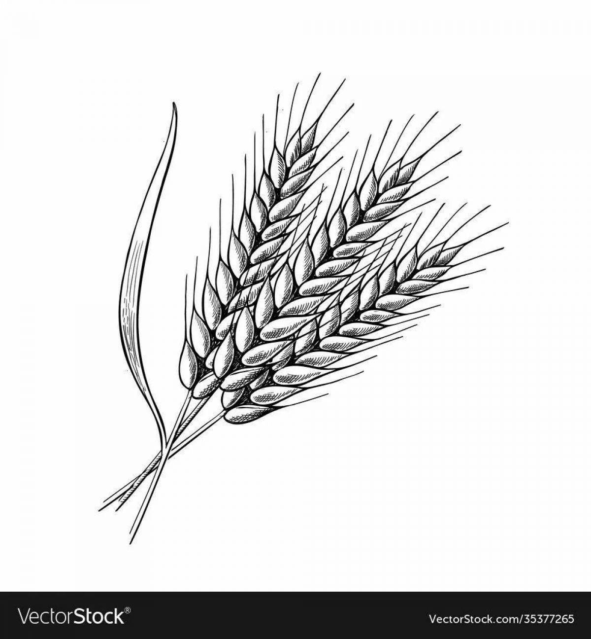 Нарисовать колосок пшеницы для детей