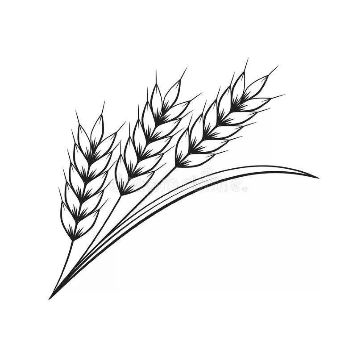 Колосья пшеницы рисунок поэтапно