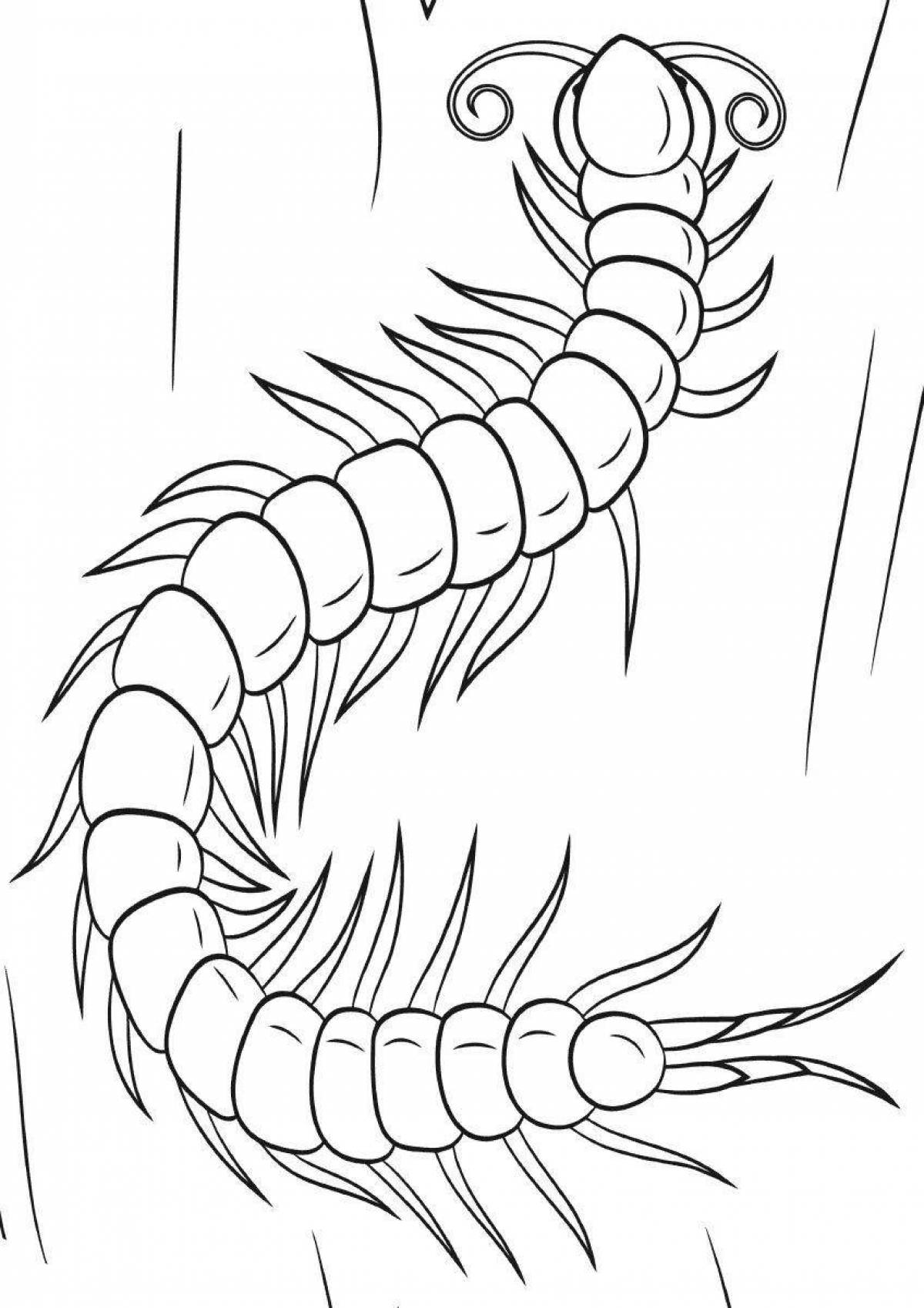 Рисование сороконожка. Сороконожка раскраска. Сколопендра раскраска. Многоножка эскиз. Многоножка тату эскиз.
