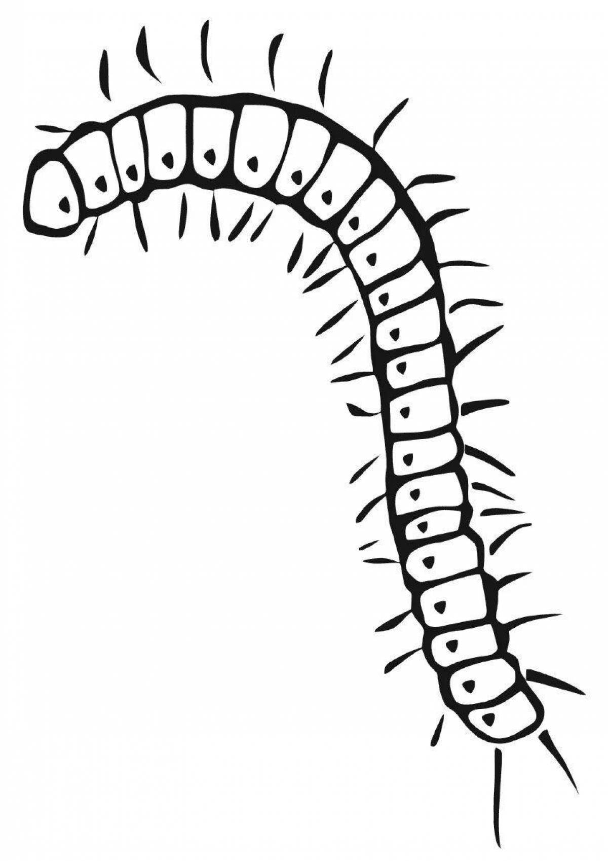 Рисование сороконожка. Сороконожка раскраска. Многоножка раскраска. Сороконожка раскраска для малышей. Раскраски насекомые сороконожка.