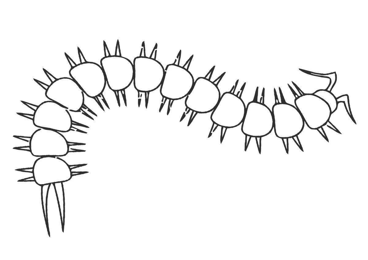 Как нарисовать сороконожку детям
