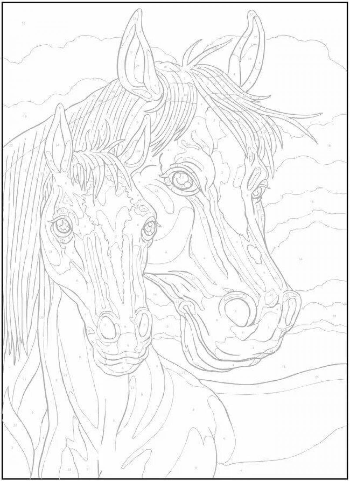 Playful horse coloring by numbers