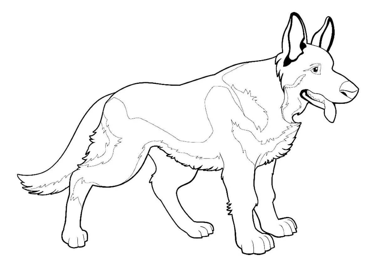 German shepherd dog #9