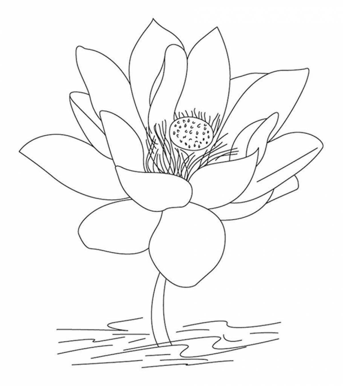Adorable Red Book Plants Coloring Page