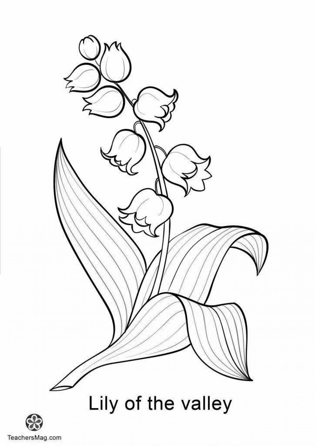 Coloring book charming red book plants