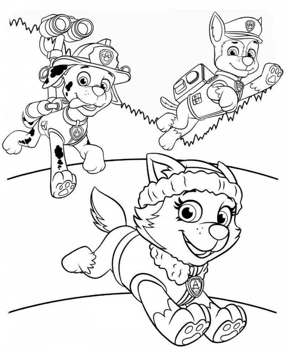 Funny coloring wild cat paw patrol