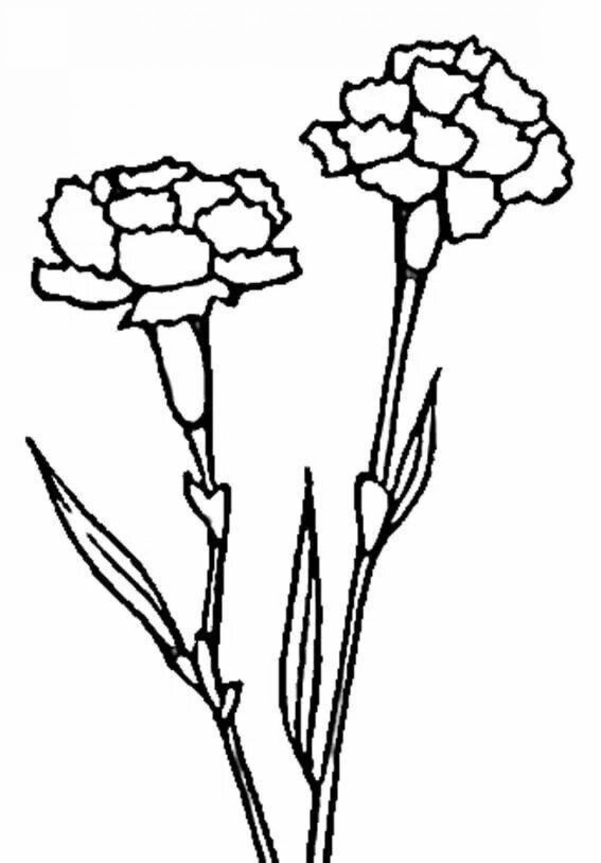 Fun carnation coloring pages