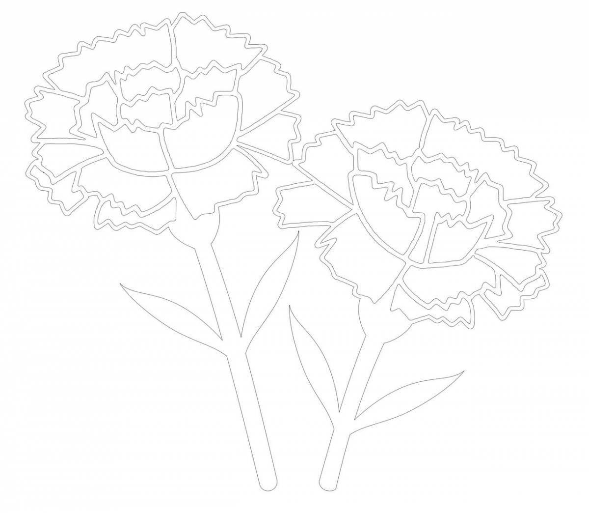 Exquisite carnation coloring pages
