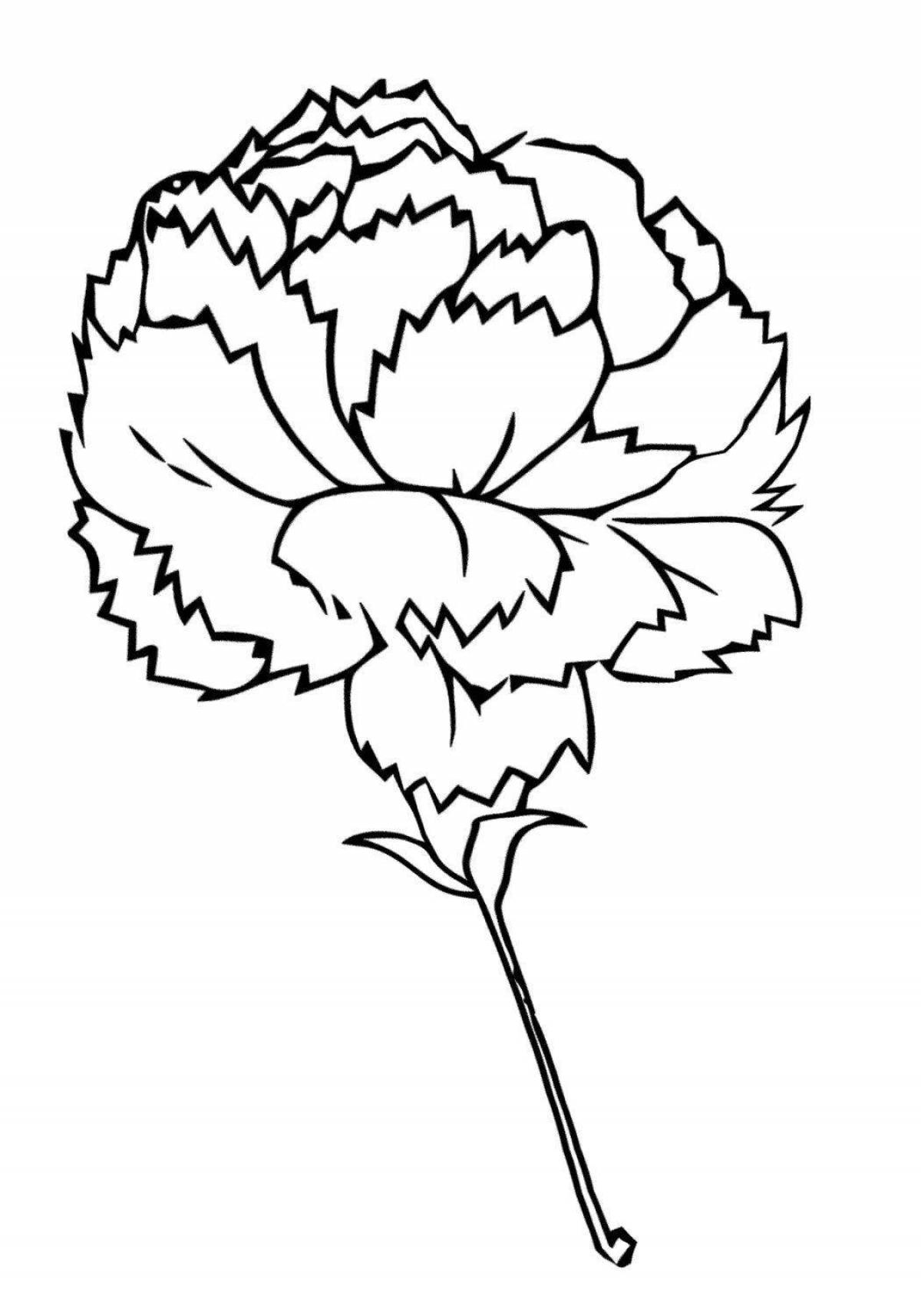 Colorful carnation coloring pages