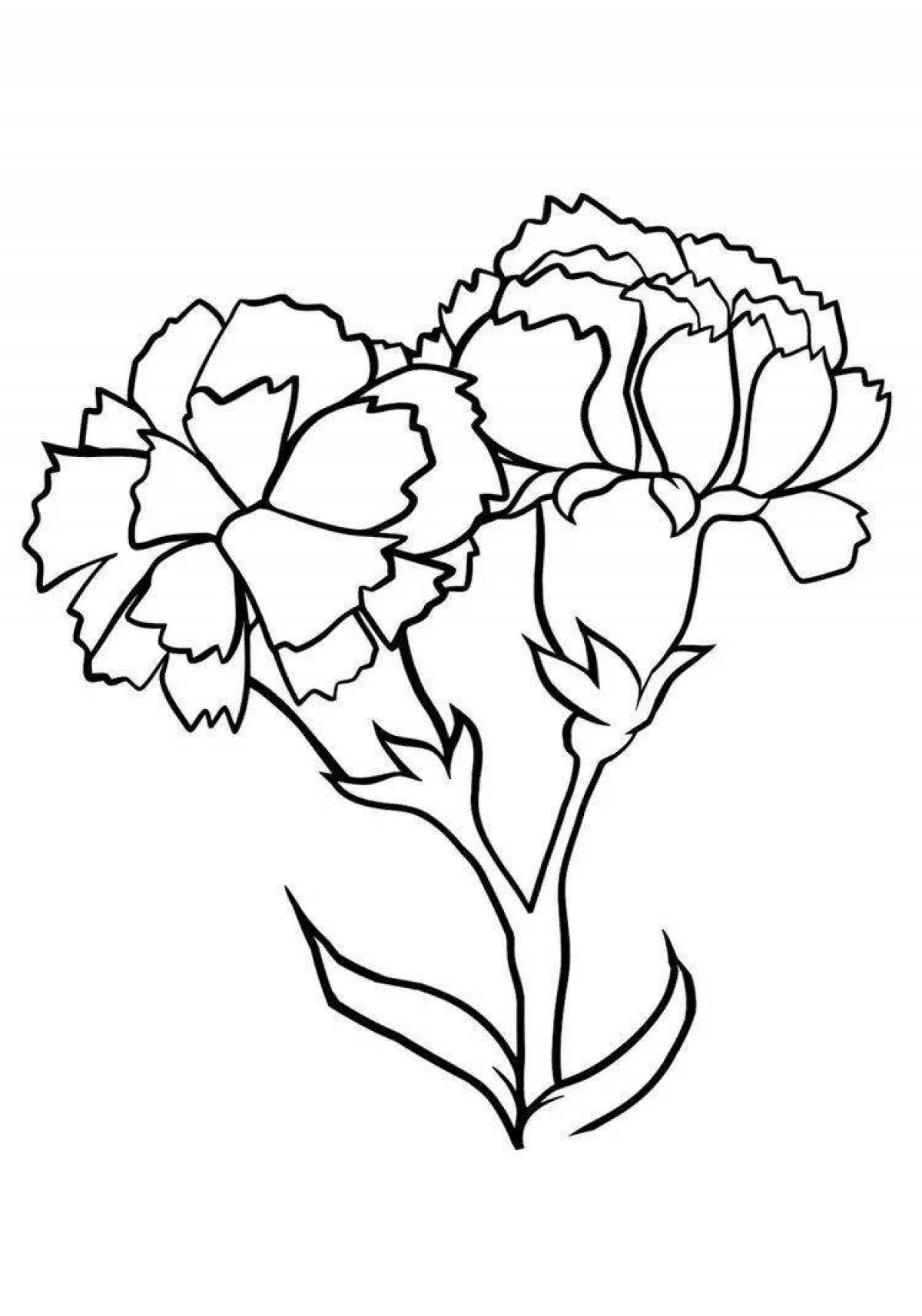 Sublime carnations coloring book