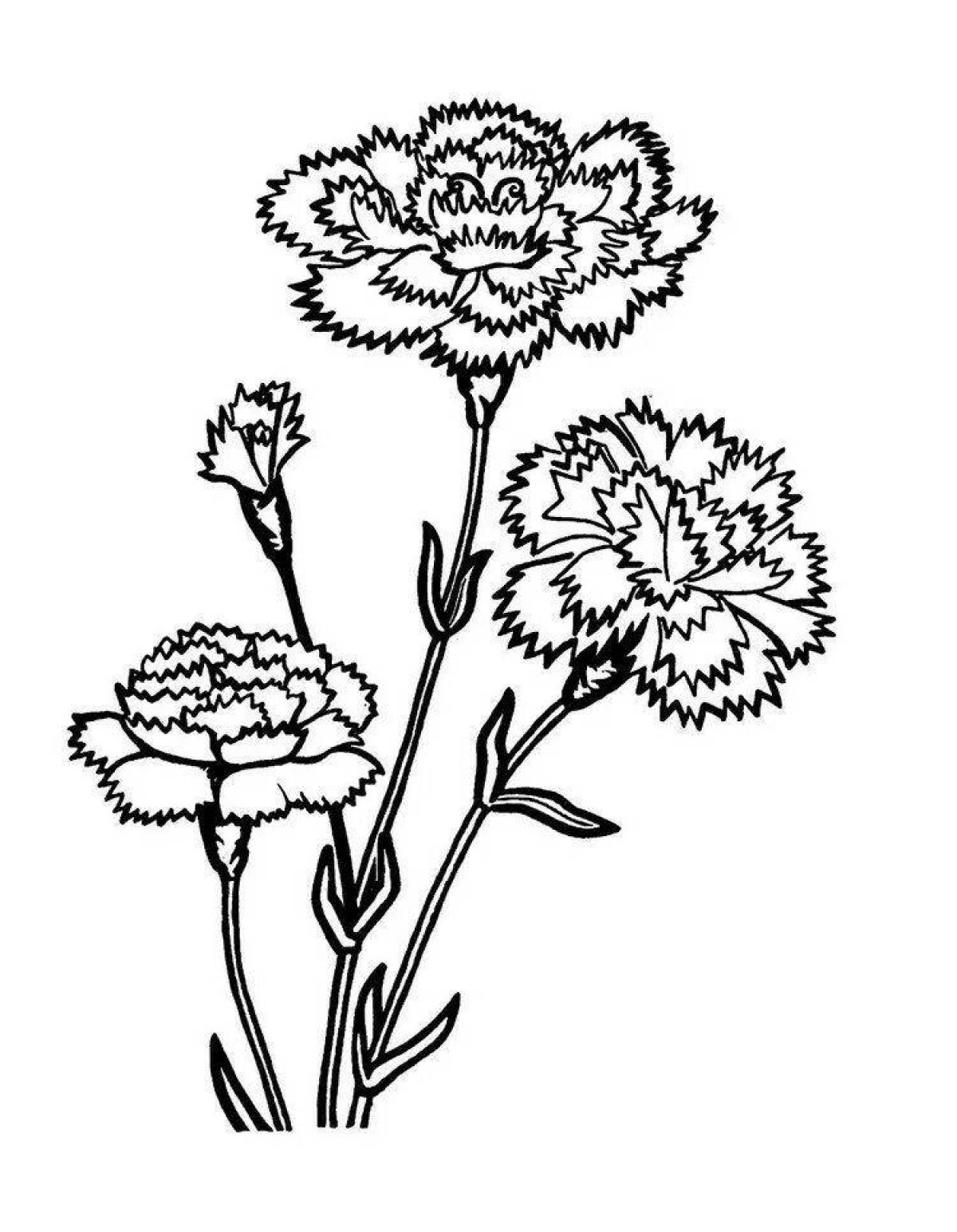 Shiny carnation coloring pages