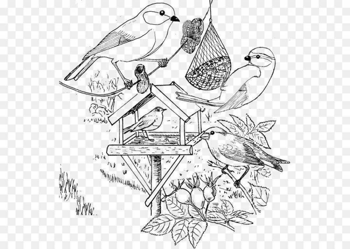Радостная раскраска птицы у кормушки зимой