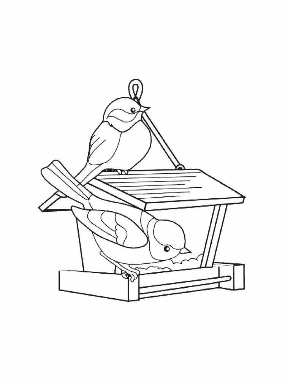 Grand coloring page birds at the feeder in winter