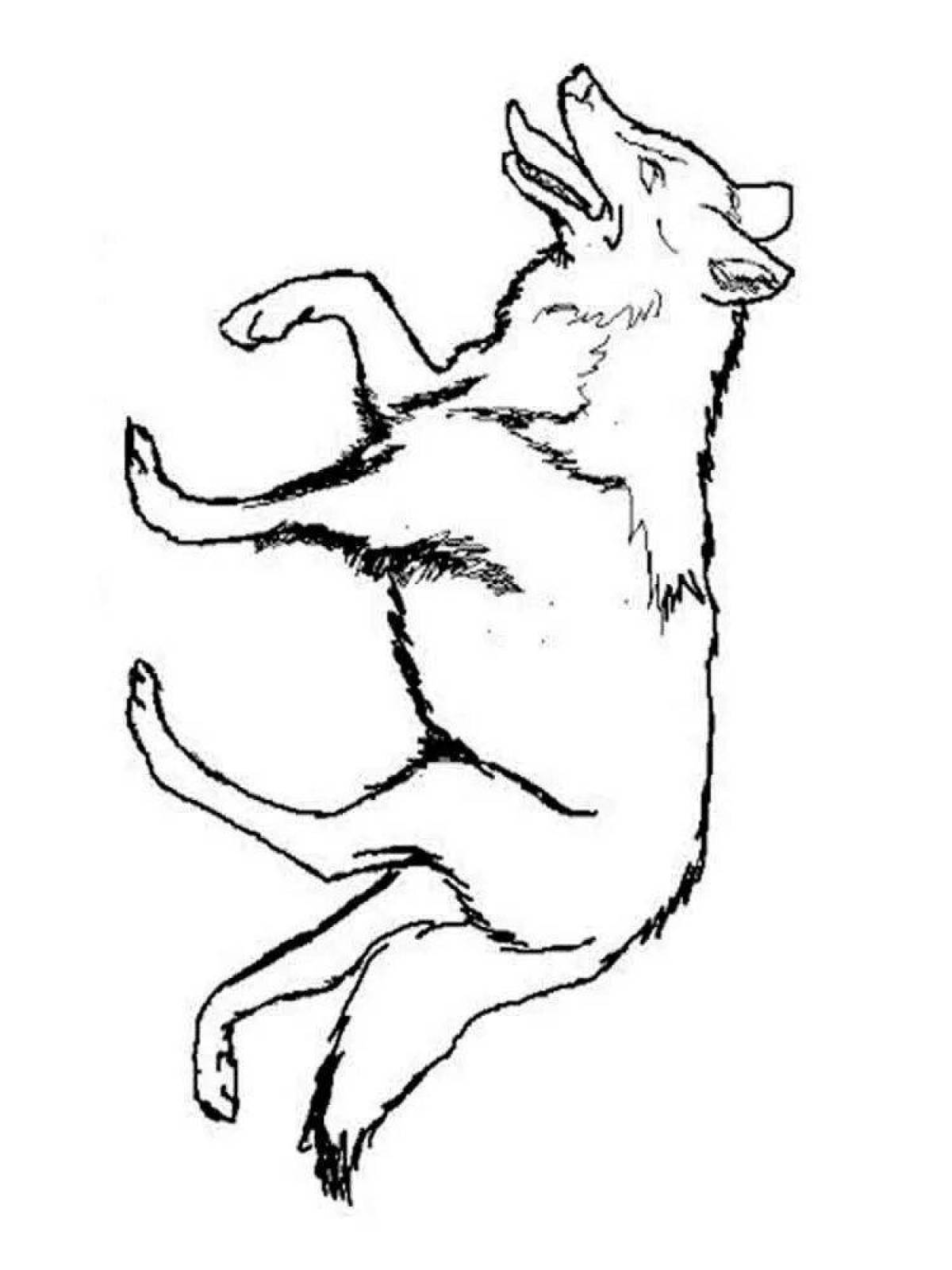 Fun coloring fox wolf hare wolf