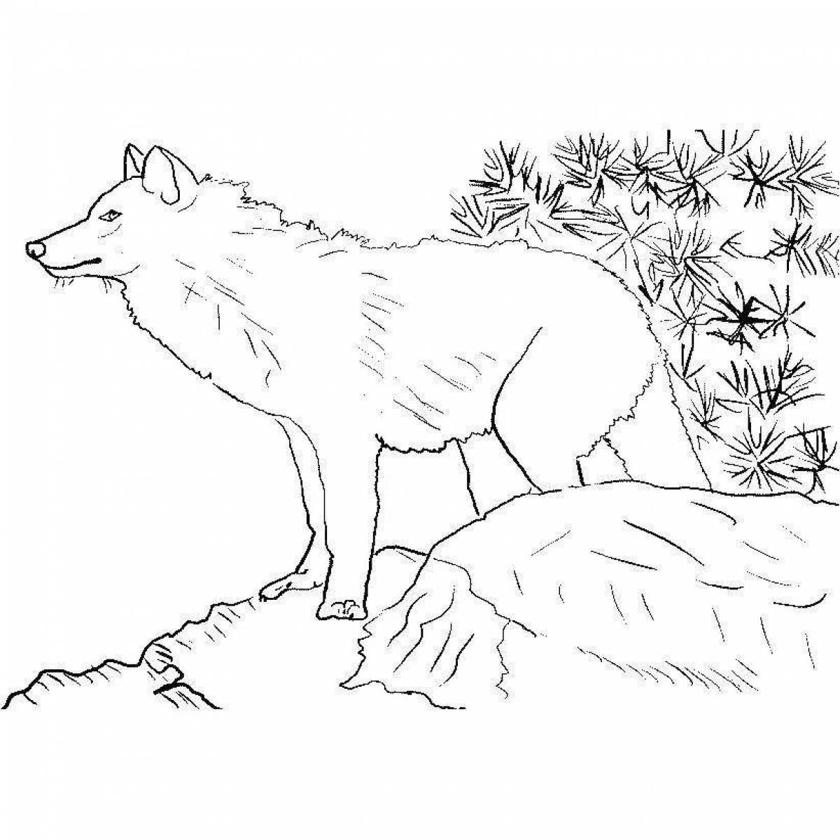 Волнующая раскраска лиса волк заяц волк