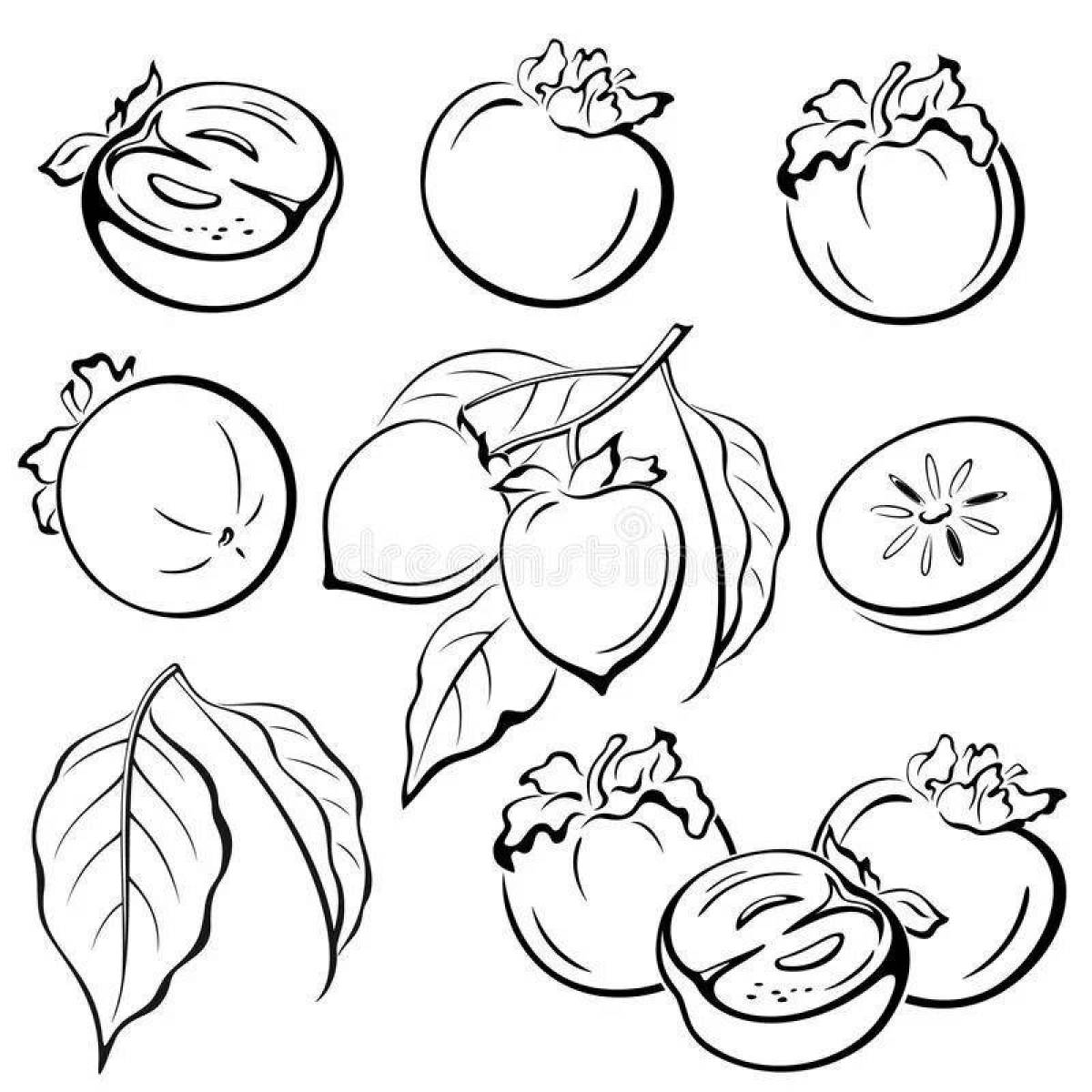 Holiday persimmon coloring page