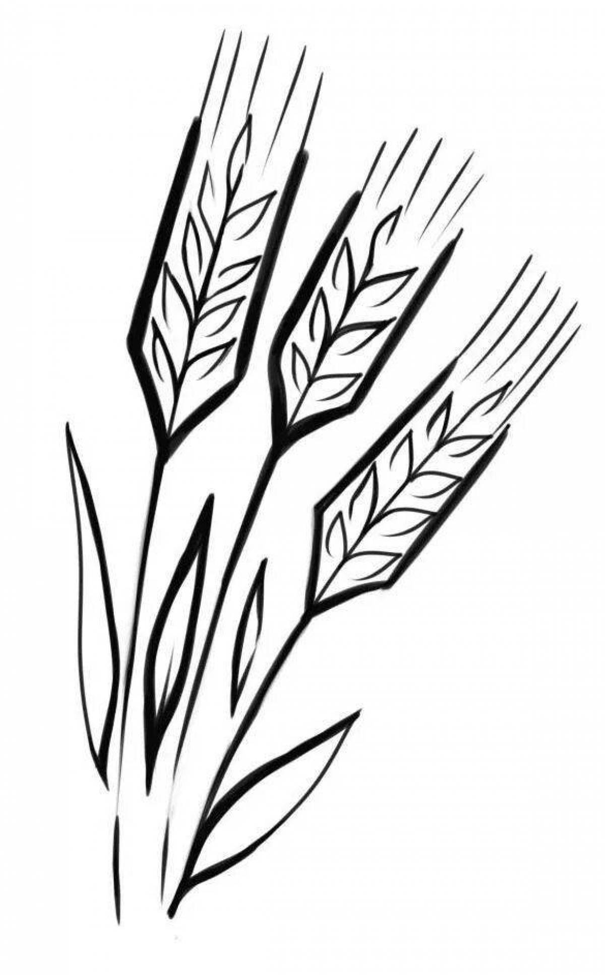 Charming spikelet coloring book