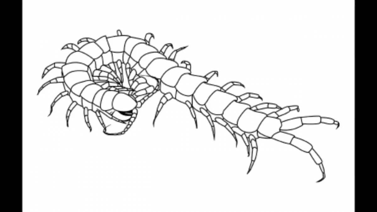 Amazing centipede coloring page